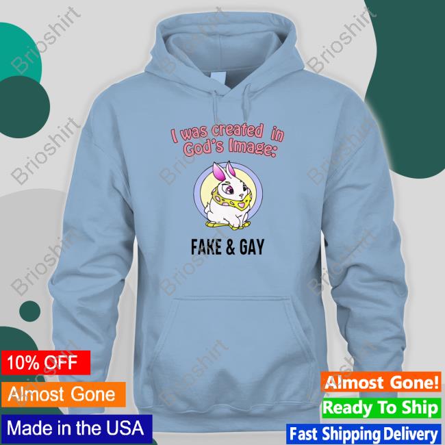 I Was Created In God's Fake & Gay T Shirts Omgchomp