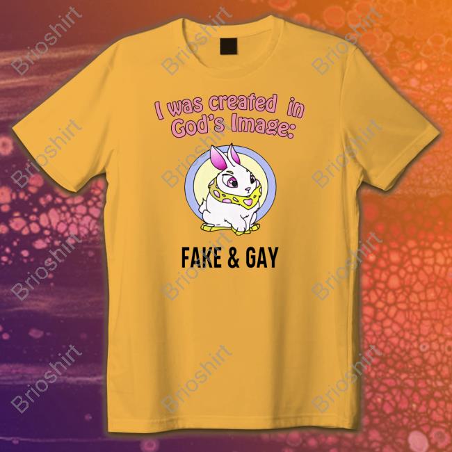 Official I Was Created In God's Fake & Gay T Shirt Official I Was Created In God's Fake & Gay T Shirt