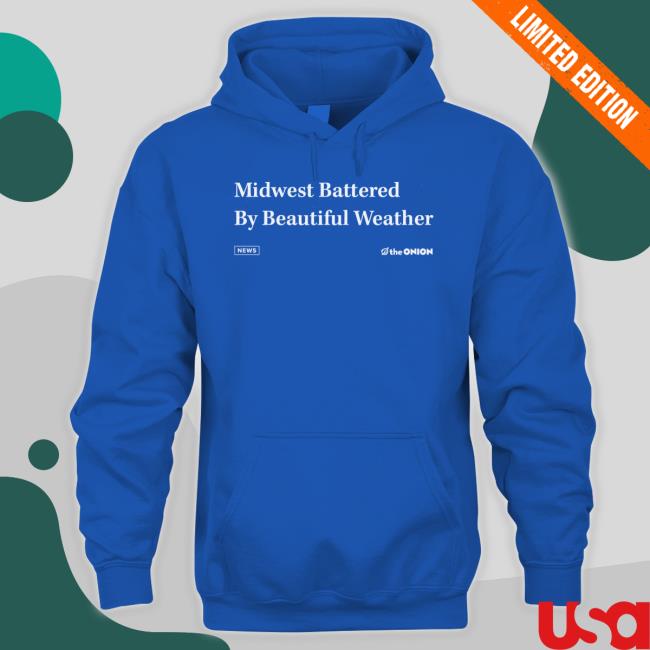 The Onion Beautiful Weather Shirts