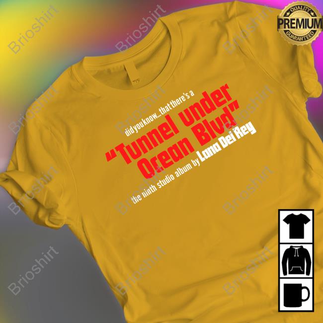 Did You Know That There's A Tunnel Under Ocean Blvd Hooded Sweatshirt