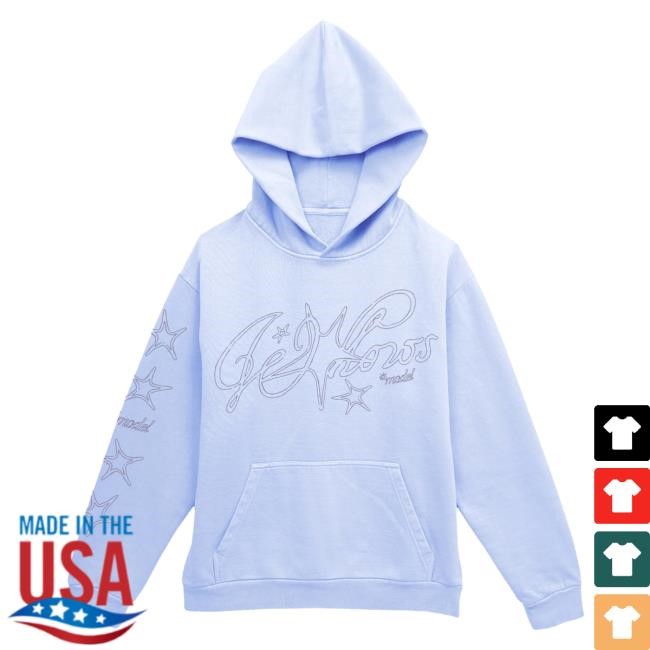 Wallows Model Star New Hoodie – Wallows Store