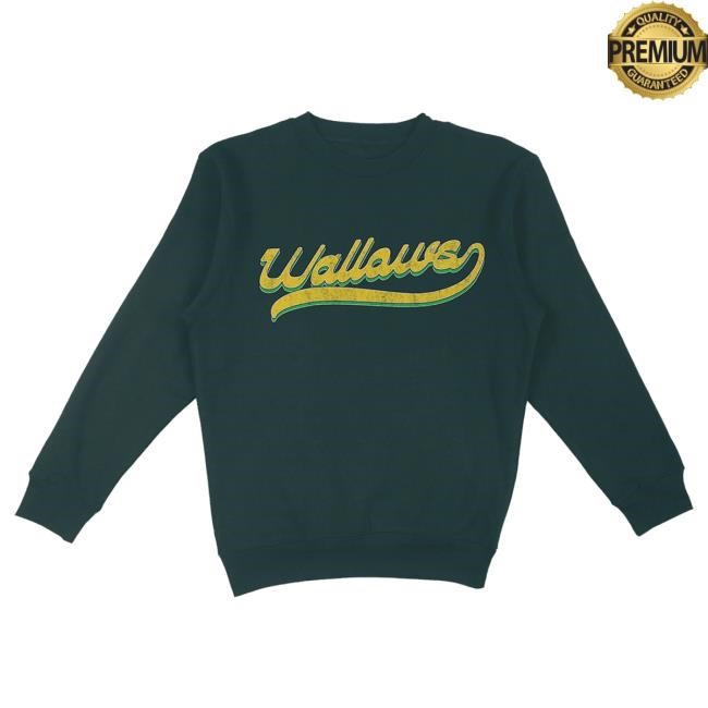 Official Wallows Merch Store Wallows Baseball Script Popover Sweatshirt