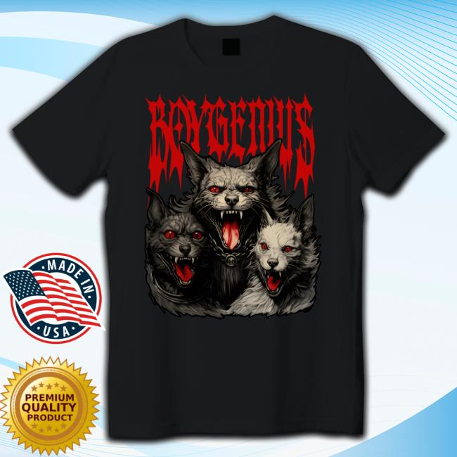 Boygenius Store Boygenius Long Sleeve T Shirt