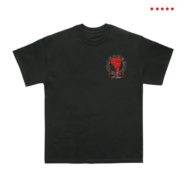 The Used Band Merch Shop Free Palestine Tee