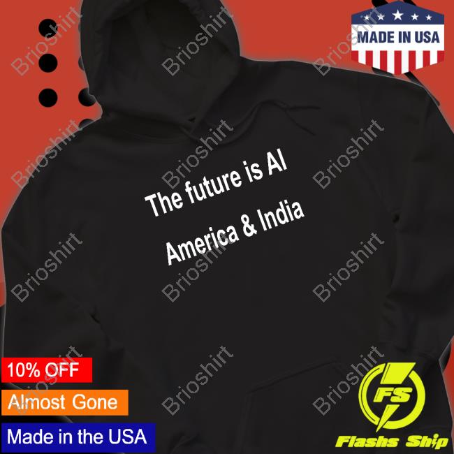 The Future Is Ai America And India Hoodie