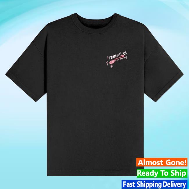Official The Official Flim Flam Shop Merch Store – Flamingo Bird Spoon Tee Black