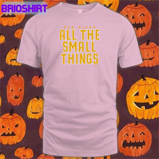 San Diego All The Small Things T Shirt Breakingt Merch