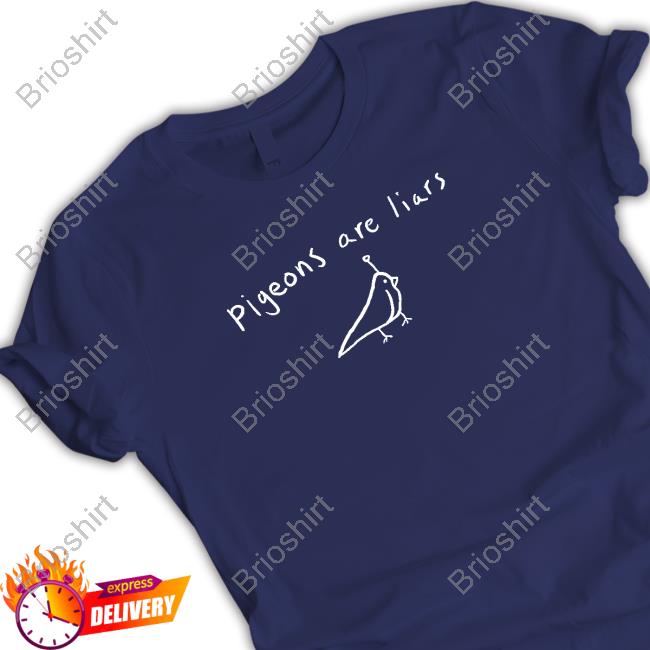 Pigeons Are Liars Sweatshirt