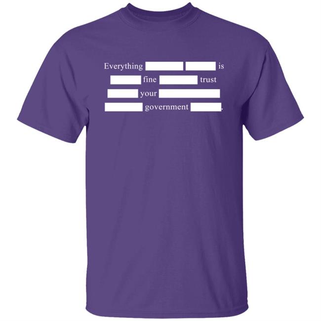 Notsweetdeesez Sweet Dees Tees Merch Everything Is Fine Trust Your Government T Shirt