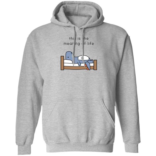 Dinosaur Shop The Meaning Of Life Hoodie Sweatshirt Dino Comics