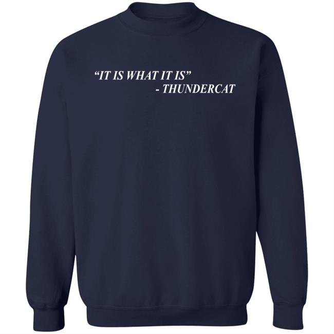 Thundercat Merch It Is What It Is Tee Shirt Thundercat Merch It Is What It Is Tee Shirt