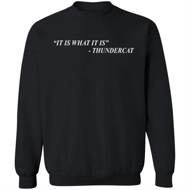 Thundercat Merch It Is What It Is Tee Shirt Thundercat Merch It Is What It Is Tee Shirt