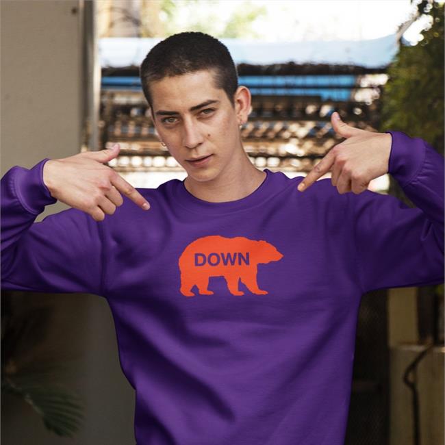 Bear Down Hoodie Obvious Shirts Shop