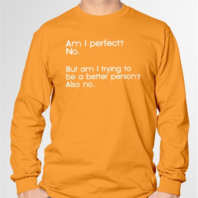 Am I Perfect No But Am I Trying To Be A Better Person Also No T Shirt Am I Perfect No But Am I Trying To Be A Better Person Also No Sweatshirt
