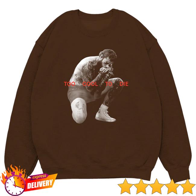 Official Post Malone Merch Store Post Malone Too Cool To Die Pullover Hoodie Post Malone Apparel Clothing Shop PostMalone