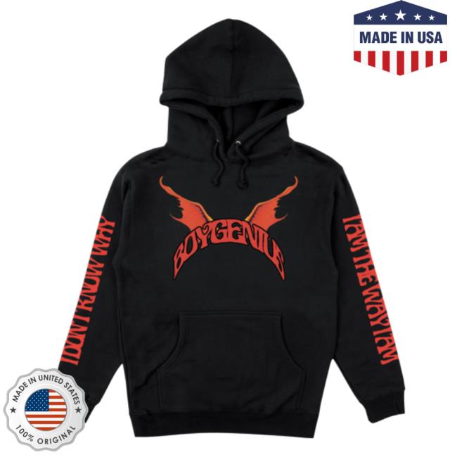 Boygenius Store Demon Sweaters