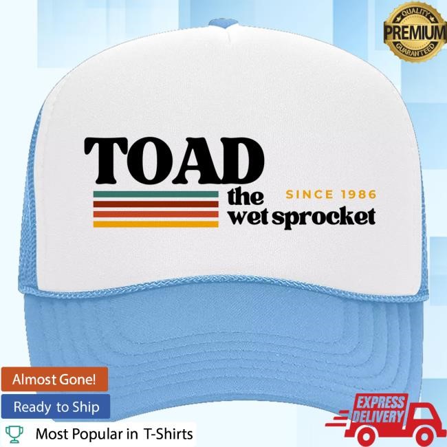 Toad The Wet Sprocket Cool Vibes Sky Blue Trucker Cap