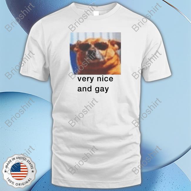 Official Dogecore Very Nice And Gay T Shirts