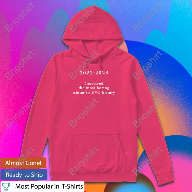 Official 2022-2023 I Survived The Most Boring Winter In Nyc History T-Shirt New York Metro Weather