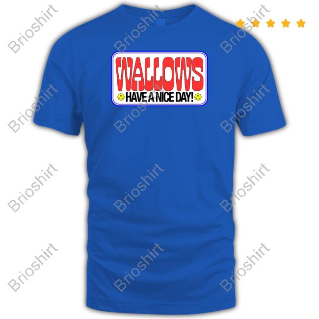 Official Wallows Merch Have A Nice Day Hoodie