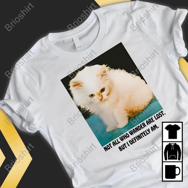 Not All Who Wander Are Lost But I Definitely Am T Shirt