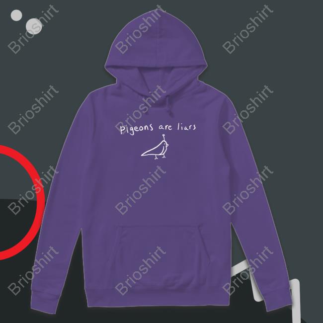 Pigeons Are Liars Hoodies Birds Arent Real Merch Store